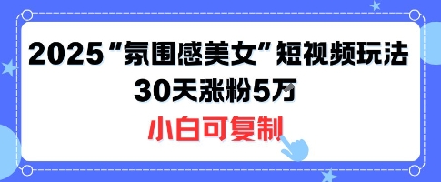 不露脸也能火！2025“氛围感美女”短视频玩法，30天涨粉5W小白可复制-LH资源分享网