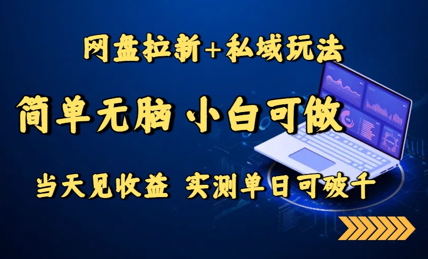 网盘拉新+私域玩法，简单无脑，小白可做，当天见收益，实测单日可破千-LH资源分享网