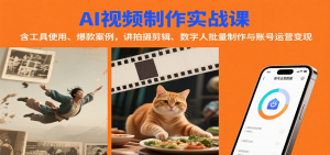 AI视频制作实战：含工具使用、爆款案例，讲拍摄剪辑、数字人批量制作与账号运营变现-LH资源分享网