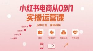 小红书电商从0到1实操运营课，从零开始，简单易学-LH资源分享网