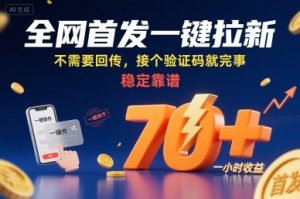 全网首发一键拉新项目，不需要回传，接个验证码就完事，稳定靠谱，一小时收益70+【揭秘】-LH资源分享网