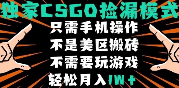 CSGO自动捡漏项目，最新独家玩法，不是美区搬砖，不需要了解和玩游戏，新手小白轻松月入1W+【揭秘】-LH资源分享网