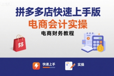 拼多多店快速上手版电商会计实操-电商财务教程-LH资源分享网