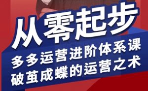 拼多多运营进阶系统课，从零起步，多多运营进阶体系课，破茧成蝶的运营之术-LH资源分享网