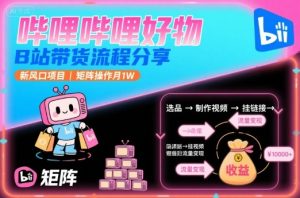 哔哩哔哩好物，B站带货流程分享，新风口项目，矩阵操作月1W-LH资源分享网