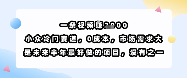 一条视频挣1k，小众冷门赛道，0成本，市场需求大，是未来半年最好做的项目，没有之一-LH资源分享网