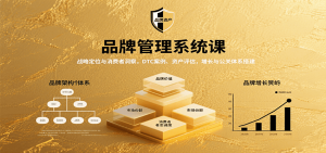 品牌管理系统课：战略定位与消费者洞察，DTC案例、资产评估，增长与公关体系搭建-LH资源分享网