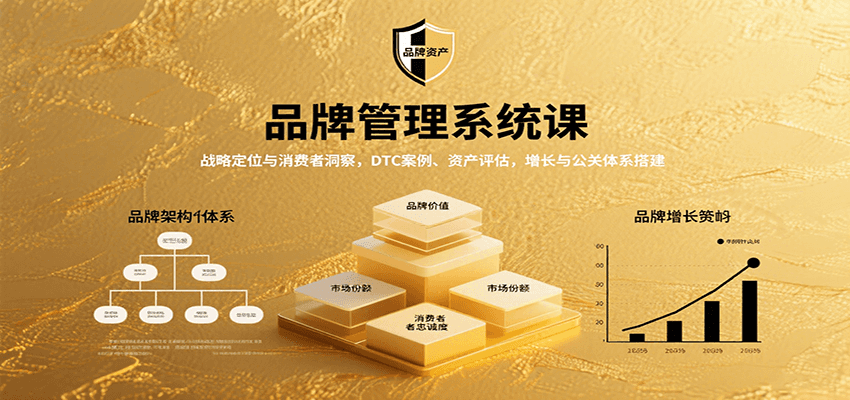 品牌管理系统课：战略定位与消费者洞察，DTC案例、资产评估，增长与公关体系搭建-LH资源分享网