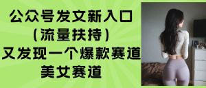 公众号发文新入口(流量扶持-LH资源分享网