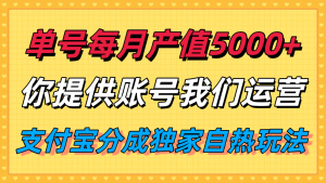 单月产值5000+，支付宝分成代运营，你提供账号坐等分钱，我们帮你运营-LH资源分享网