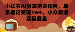 小红书AI男友指令项目,单条笔记变现1w+,小众赛道实操复盘-LH资源分享网