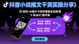 抖音小说推文干货实操分享，混剪+AI图片卡特效爆量全流程，0粉丝0门槛可做-LH资源分享网
