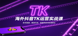 海外抖音TK运营实战课：账号搭建、精准引流、剪辑带货与私域转化-LH资源分享网