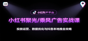 小红书聚光/乘风广告实战课：投放运营、数据优化与抖音本地推全攻略-LH资源分享网