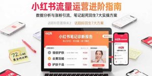 小红书流量运营进阶指南，数据分析与涨粉引流，笔记起死回生7大实操方案-LH资源分享网
