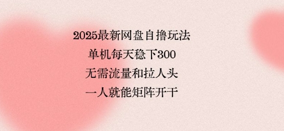 2025最新网盘自撸玩法，单机每天稳下3张，无需流量和拉人头，一个人就可轻松矩阵，全网独一份【揭秘】-LH资源分享网