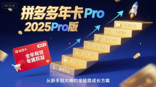 拼多多年卡2025Pro版，五大板块从认知到基础、从推广到活动、从活动到玩法-LH资源分享网