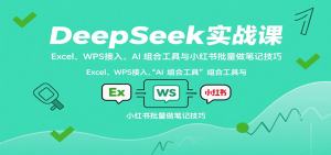 DeepSeek实战课：Excel、WPS接入、AI 组合工具与小红书批量做笔记技巧-LH资源分享网