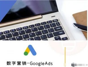 数字营销-GoogleAds-外贸跨境电商教程-LH资源分享网