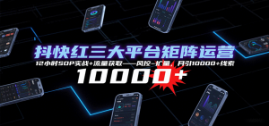 抖快红三大平台矩阵运营，12小时SOP实战+流量获取-风控-扩量，月引10000+线索-LH资源分享网