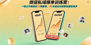 微信私域爆单训练营:一场公开课成交33单案例,99元自动训练营批量变现术-LH资源分享网