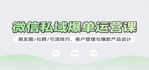 微信私域爆单运营课:朋友圈/社群/引流技巧,客户管理与爆款产品设计-LH资源分享网