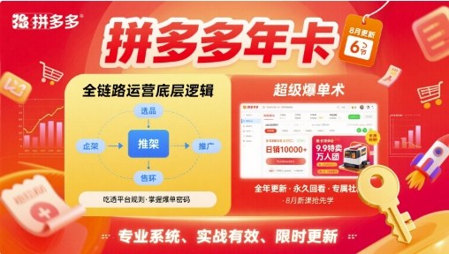 拼多多年卡【8月更新6节】拼多多全链路运营底层逻辑，超级爆单术-LH资源分享网