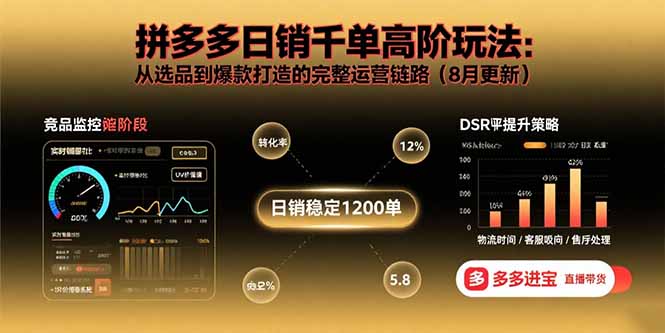 拼多多日销千单高阶玩法：从选品到爆款打造的完整运营链路(8月更新-LH资源分享网