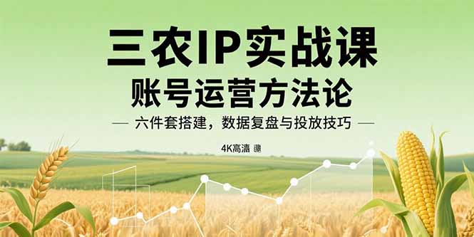 三农IP实战课：账号运营方法论，六件套搭建，数据复盘与投放技巧-LH资源分享网