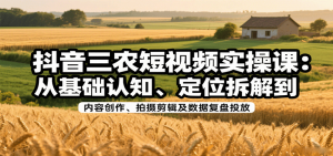 抖音三农短视频实操课：从基础认知、定位拆解到内容创作、拍摄剪辑及数据复盘投放-LH资源分享网