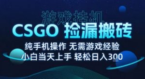 8月最新游戏搬砖，CSGO纯挂G，不需要玩游戏，实现真挂G，月入1W+【揭秘】-LH资源分享网