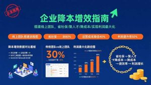 企业降本增效指南：搭建线上团队，省社保/聚人才/降成本/实现利润最大化-LH资源分享网