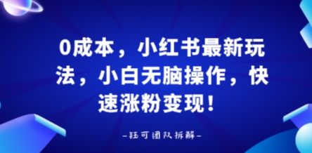 0成本，小红书最新玩法，小白无脑操作，快速涨粉变现-LH资源分享网