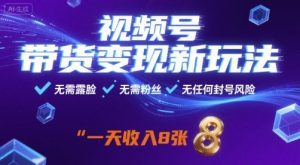 视频号带货变现新玩法，无需露脸，无需粉丝，无任何封号风险，一天收益8张【揭秘】-LH资源分享网