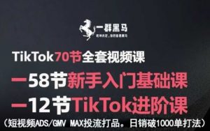 TikTok全套视频课,新手入门+进阶课,短视频ADS-GMV MAX投流打品,日销破1000单打法-LH资源分享网
