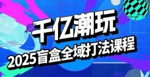 2025盲盒全域全套打法课,盲盒起号、选品、话术、私域等-LH资源分享网