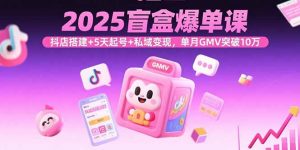2025盲盒爆单课，抖店搭建+5天起号+私域变现，单月GMV突破10万-LH资源分享网