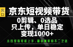 你出账号，我来运营，保底日入1k+，开启躺賺模式【揭秘】-LH资源分享网