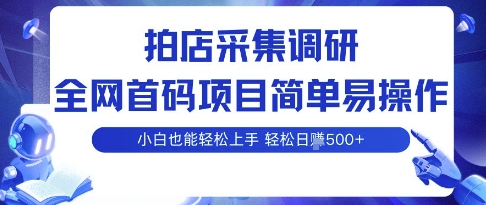 拍店采集调研，全网首码项目，简单易操作， 小白也能轻松上手，多账号操作，轻松日入5张【揭秘】-LH资源分享网