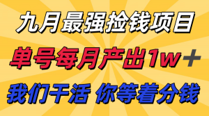九月最强捡钱项目！ 支付宝分成代运营，我们干活，你分钱！单号月产1w+-LH资源分享网