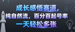 成长感悟赛道，纯自然流，百分百起号率 一天轻松多张-LH资源分享网