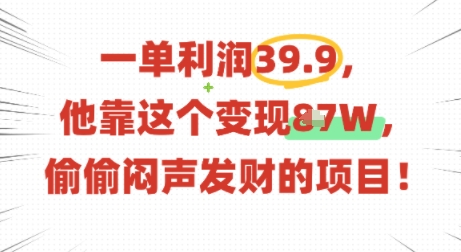 一单利润39.9，有人靠这个变现几十个，偷偷闷声发财的项目-LH资源分享网