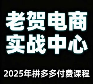 老贺电商2025年拼多多付费课程，用通俗易懂的方法告诉你多多怎么玩-LH资源分享网