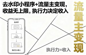 去水印小程序+流量主变现，收益无上限，执行力决定收入-LH资源分享网