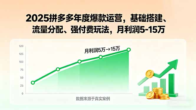 2025拼多多年度爆款运营，基础搭建、流量分配、强付费玩法，月利润5-15万-LH资源分享网