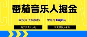 番茄音乐人掘金，单账号最高可撸1k+，可无限矩阵去做，零投入-LH资源分享网