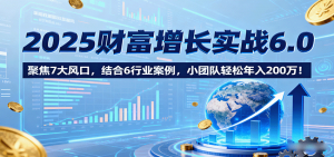 2025财富增长实战6.0，聚焦7大风口，结合6行业案例，小团队轻松年入200万！-LH资源分享网