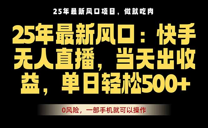 25年最新无人直播玩法，当天秒出单，一部手机就可操作-LH资源分享网