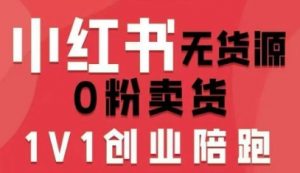 小红书无货源0粉电商课，开店准备、选品策略、笔记撰写、视频剪辑、数据分析、账号打造、资料文档-LH资源分享网