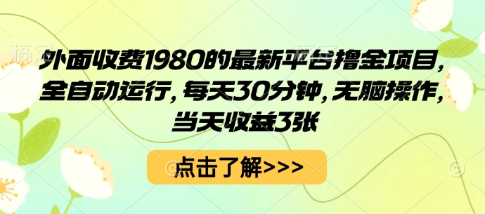 外面收费1980的最新平台撸金项目，全自动运行，每天30分钟，无脑操作，当天收益3张【揭秘】-LH资源分享网